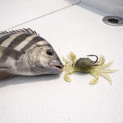 backwater-crab-ghost-sand-sheepshead-boat-deck