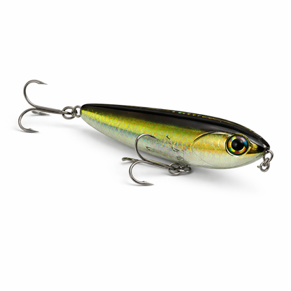 Backwater Walker Greenback Shiner topwater lure flipped view by Outshore Gear for snook, redfish, trout, and saltwater fishing